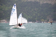 DSC3520